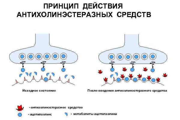 Ссылка на кракен зеркало